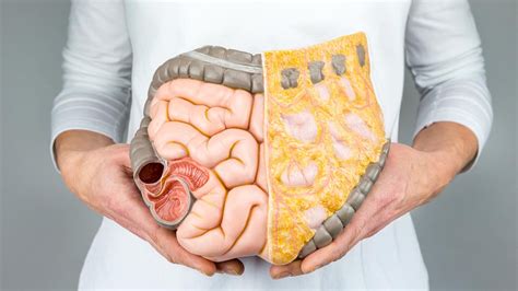 How Does Diabetes Affect The Digestive System Everyday Health