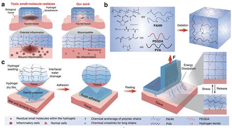 Synthetic Hydrogels For Wound Sealing And Biointerfaces