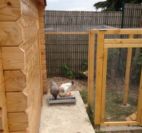 Tuto Pour Construire Un Poulailler Chicken Coops