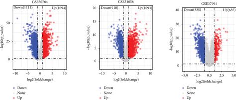 Screening Of β Catenin Associated Genes Based On β Catenin Protein Download Scientific Diagram