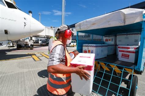 Sc Recebe Nova Remessa De Doses Da Coronavac Para Vacinar Idosos