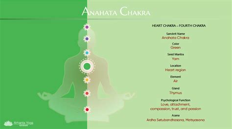 Unlock The Secrets Of Your Heart Chakra The Complete Guide