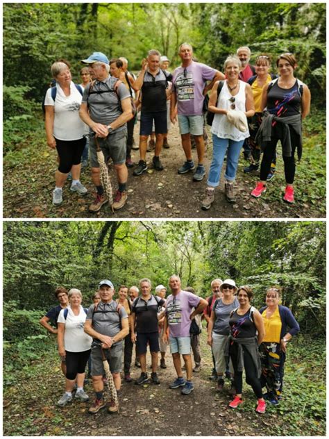 Marche Avec Jacky A Saint Sulpice De Royan Royan Accueil