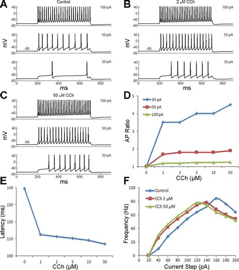 Functional Differentiation Of Cholinergic And Noradrenergic Modulation