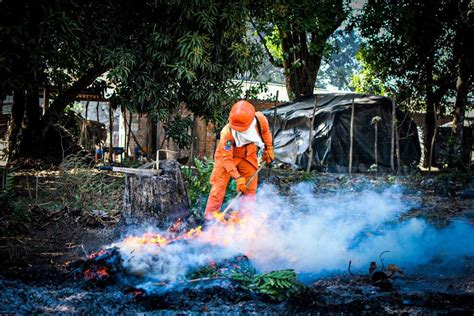 Racha De Incendios En Diferentes Puntos Del Pa S Noticias La Gaceta