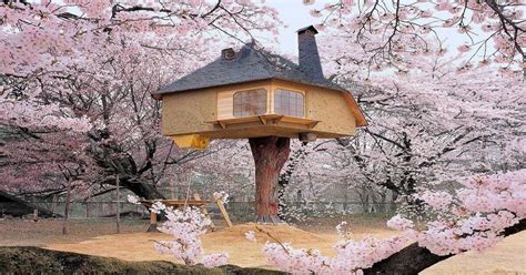 15 Best Treehouses In The World That Make The Dreamiest Stay Ever