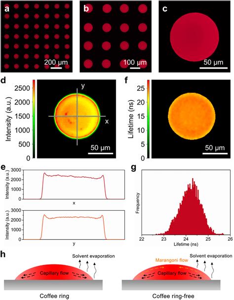 Red Cdse Cds Zns Qd Ccfs Printed Using Ink Fluorescence Images Of