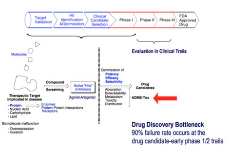 Rdm 6 Predominant Forms Drug Absorption And Drug Distribution