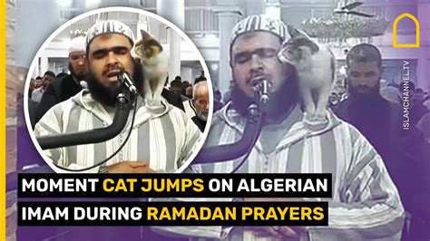 Moment Cat Jumps On Algerian Imam During Ramadan Prayers Youtube