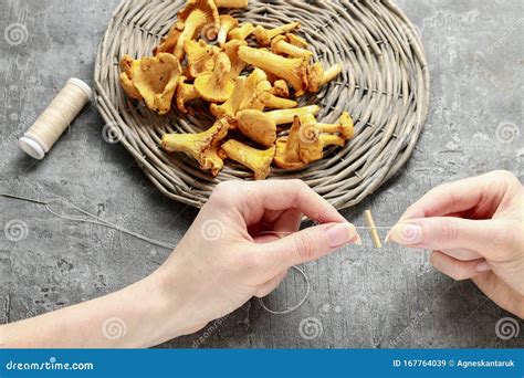 How To Dry Mushrooms Stock Image Image Of Fresh Healthy 167764039