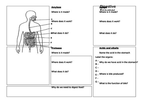 [ベスト] Digestive System Gcse Exam Questions Pdf 456951 Digestive System Gcse Exam Questions Pdf