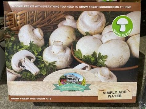 MUSHROOM KIT WHITE BUTTON | Garden Feast