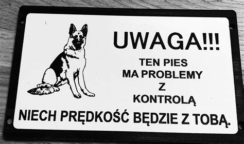 Tabliczka Ostrzegawcza Uwaga Z Y Pies Owczarek Przylesie Kup Teraz