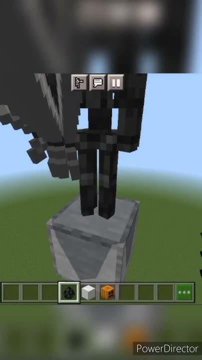 Wither Skeleton Vs Iron Golem In Minecraft Shorts Minecraft Support