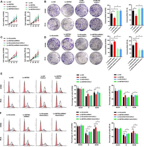 Setd Cxcl Axis Inhibits The Cell Proliferation Ability And Cell Cycle