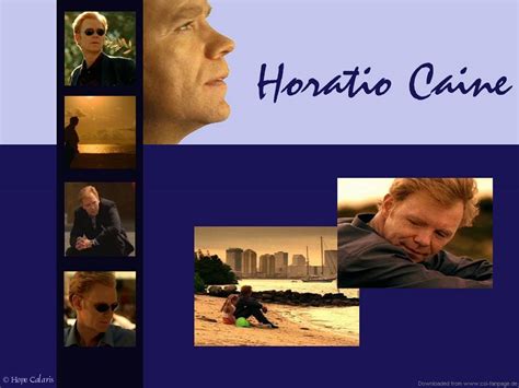 Horatio CSI Miami Wallpaper 1323497 Fanpop