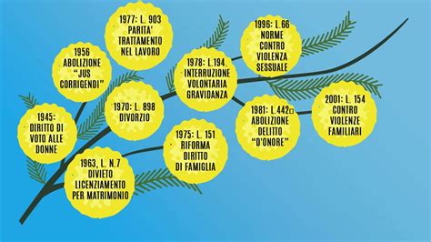 Sorrento Ricorre Oggi La Giornata Internazionale Dei Diritti Della