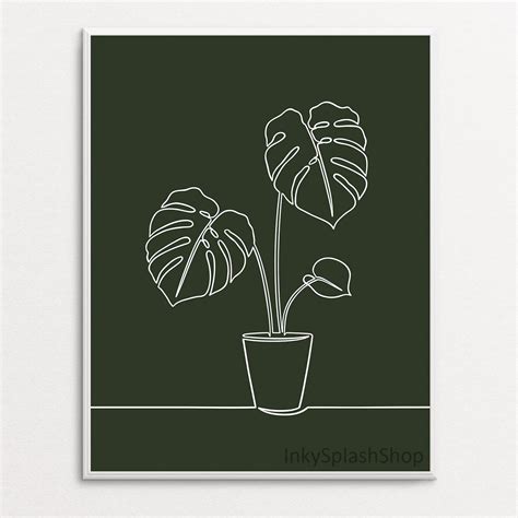 Monstera Plant Drawing