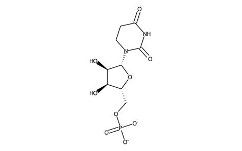 modomics    rna modifications