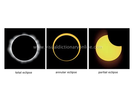 Astronomy Celestial Bodies Sun Types Of Eclipses Image Visual Dictionary Online