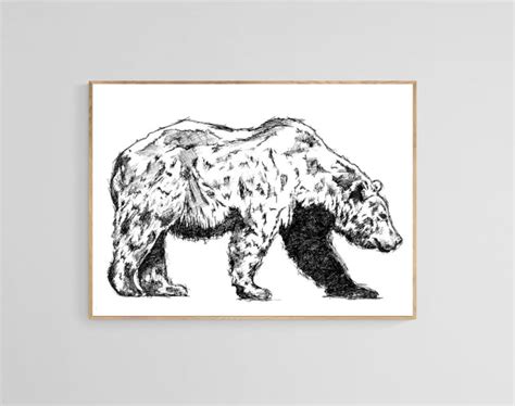 Grizzly Bear Sketch, Original Artwork by Heidi Ruckman, Fine Art Print ...