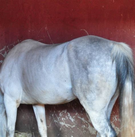 10 Best Adventure Tours in Morocco - TourRadar