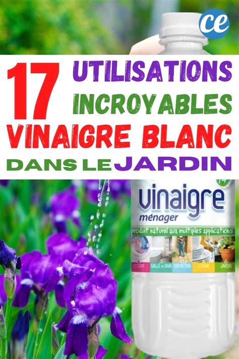 Utilisez Du Vinaigre Blanc Dans Le Jardin Et Ces 17 Miracles Se Produiront