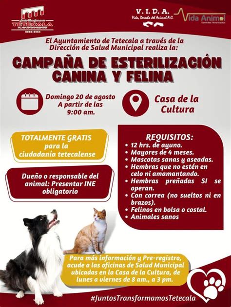 CAMPAÑA DE ESTERILIZACIÓN CANINA Y FELINA GRATUITA H Ayuntamiento de