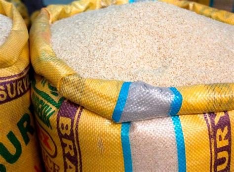 Aprobado Para Consumo El Arroz Dorado El Transgénico Que Podría Salvar De La Ceguera A Millones