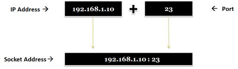 Socket Vs Port Detailed Explanation And Difference Ip With Ease