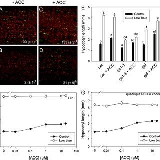 Auxin Della Interaction During Low Blue Light Induced Hypocotyl