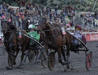 Les Partants Probables Du Prix D Am Rique Legend Race Trot Zone Turf Fr