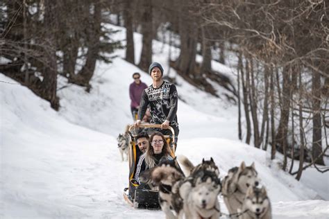 topic commun ballade en chiens de traîneaux