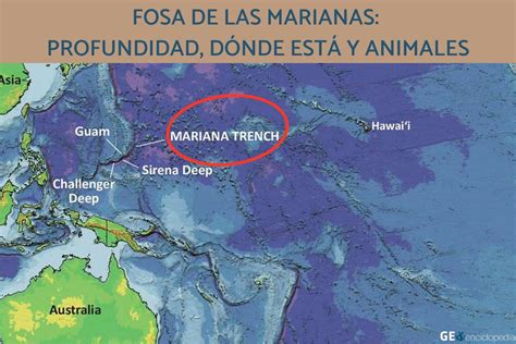 Fosa de las Marianas profundidad dónde está y animales Resumen