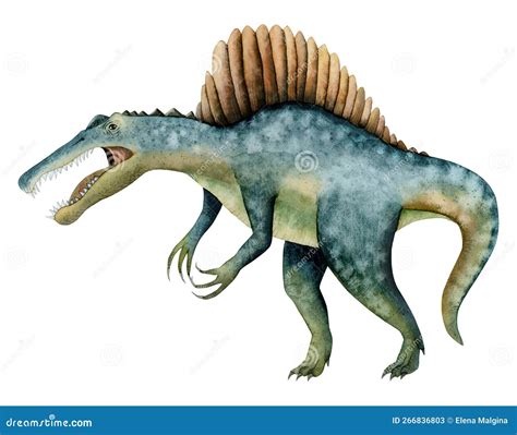 Spinosaurus Ancient Reptile Prehistoric Dinosaurus Close Up Isolated