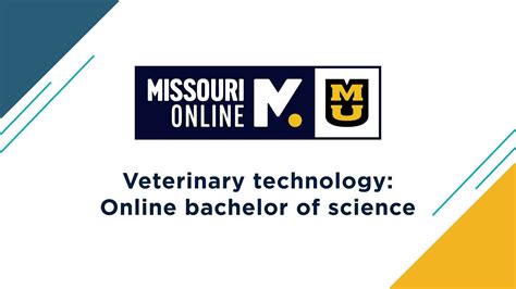 Mizzou S Bachelor Of Science In Veterinary Technology Program Wins