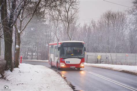 Fotogaleria Transportowa Jelcz M121I3 096