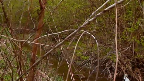 Earth Day Cleanup Uncovers Human Remains In Indiana Neighborhood Fox News