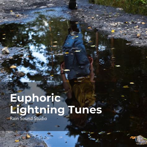 Euphoric Lightning Tunes Album By Rain Sound Studio Spotify