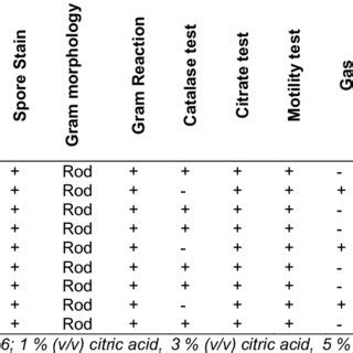 Colonial Morphological Gram Stain Reaction And Biochemical