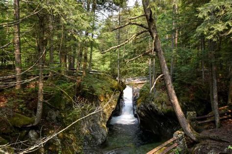 Highlights of the Green Mountain National Forest in Vermont