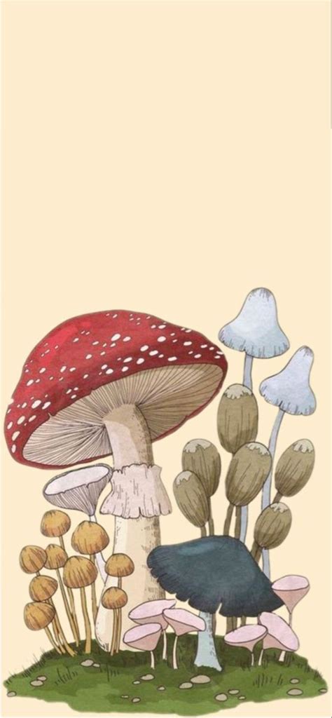 mushroom phone wallpaper | Phone wallpaper, Wallpaper pictures, Wallpaper