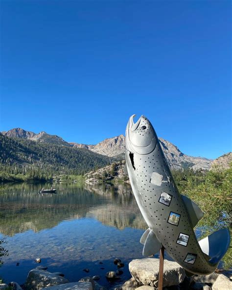 June Lake Loop Fish Report June Lake Ca Mono County