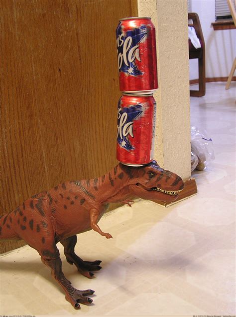 Pic Funny Two Head Soda Balancing Susie Pet Cans Lizard