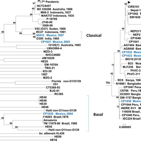 Vibrio Pathogenicity Island 1 Vpi 1 Of V Cholerae O1 Strains Download Scientific Diagram