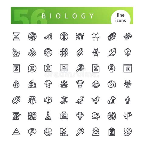 Hand Drawn Biology Doodle Set With Lettering Stock Vector Illustration Of Design Element