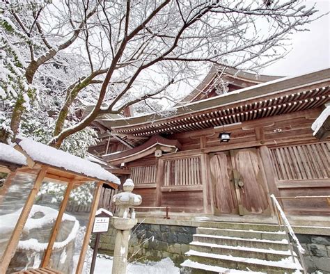 勝運の神様を味方につける！由緒ある島根「物部神社」で五感を開き人生を拓く 旅色プラス