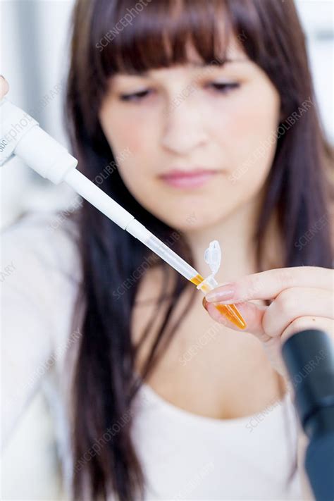 Lab Assistant Using Pipette Stock Image F011 4470 Science Photo