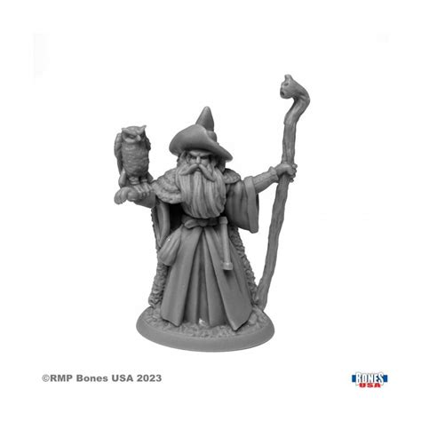 Amathor The Arch Mage Human Wizard Von Reaper Aus Reaper Bones Usa Le