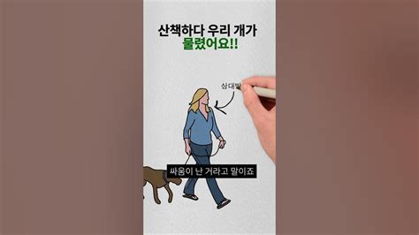 도와줘요 이변 우리 개가 다른 개한테 물렸을 때 대처 방법강아지산책개물림변호사법률상담 Youtube